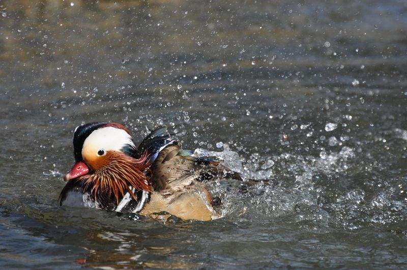 GlanzRein Autowäsche - Image 15
